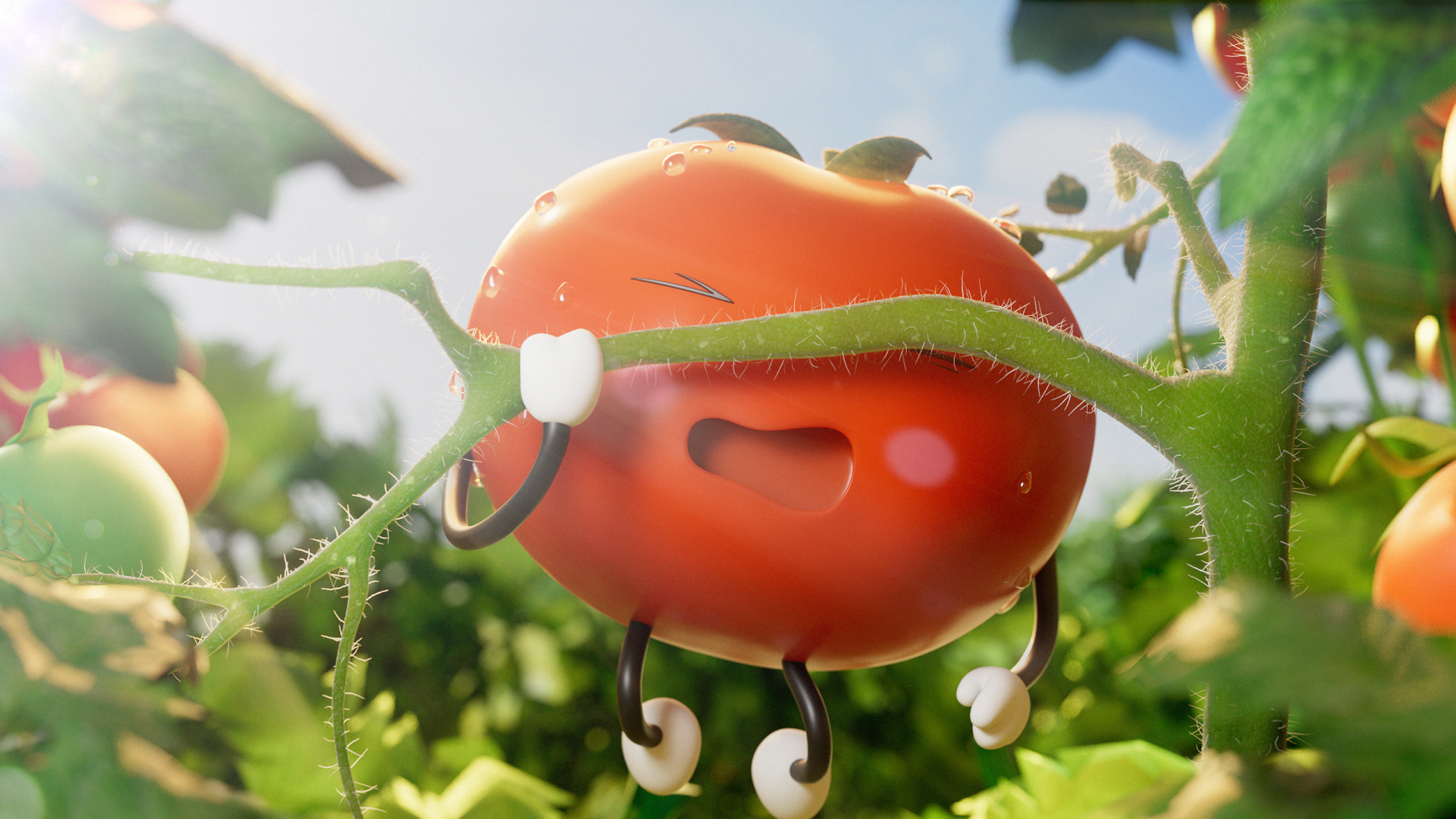 Tomato King_3