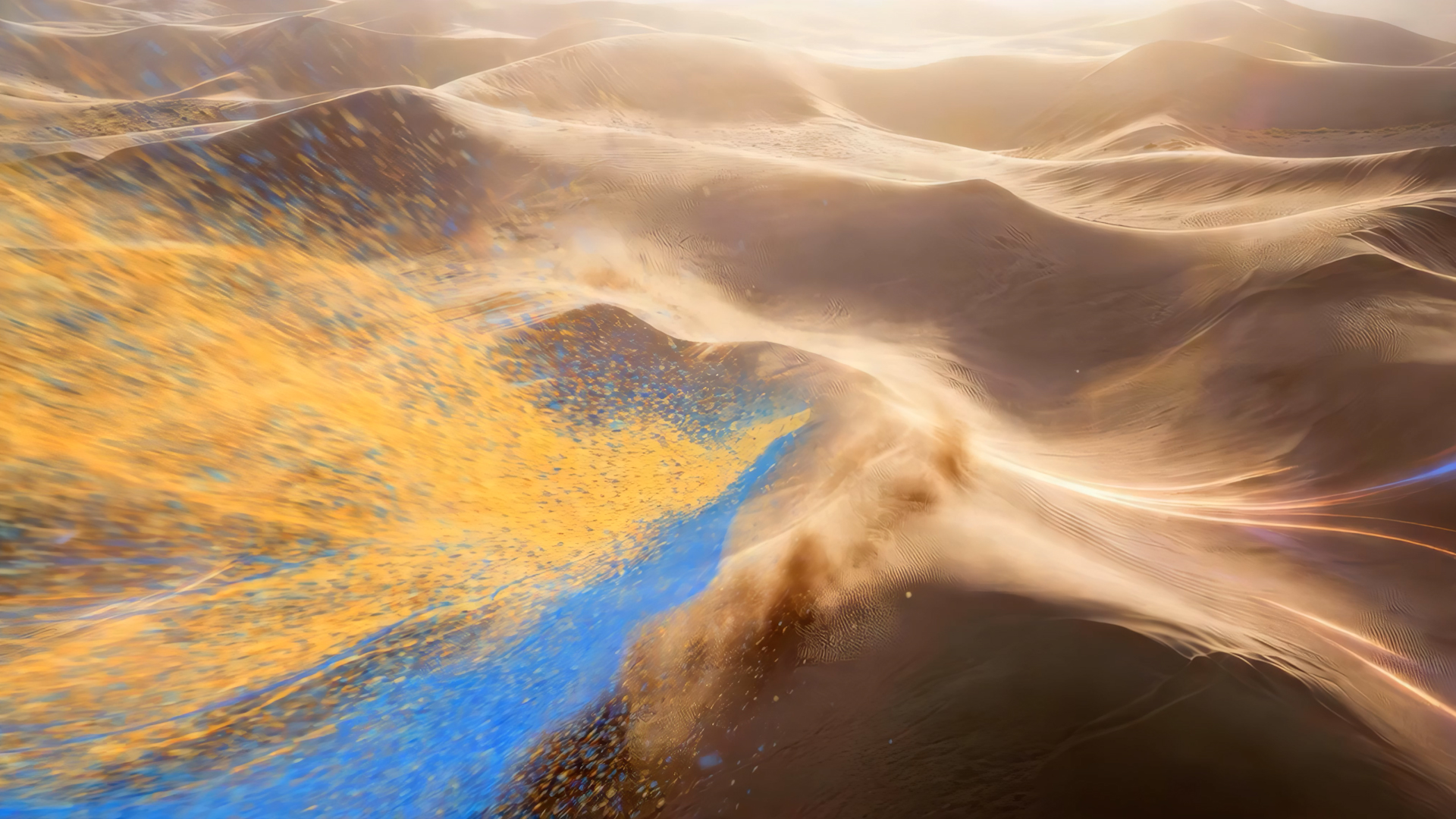 Sabic_DiretorCut_2_00